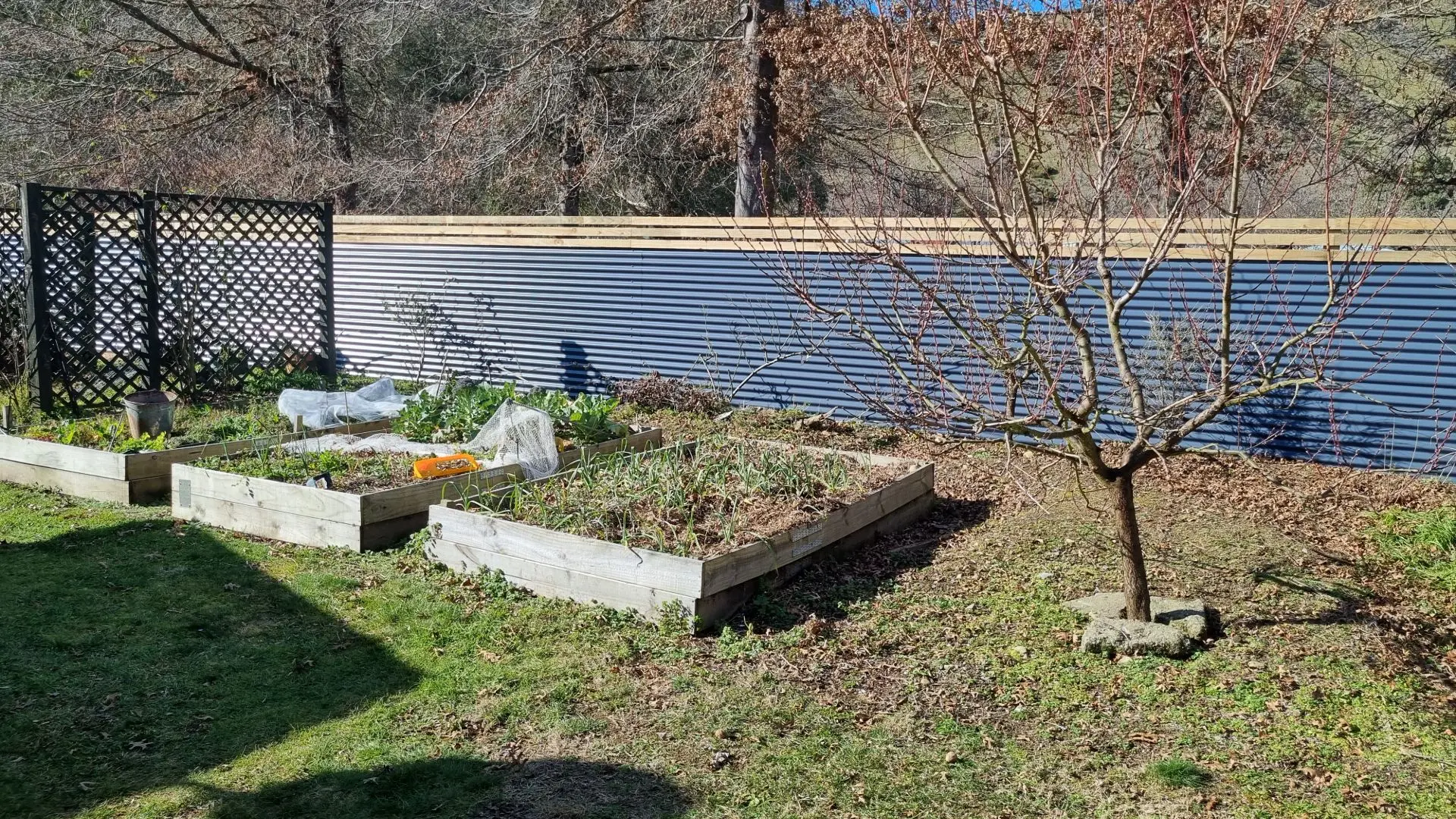 Blue Coloursteel Fence with Decorative Trellis
