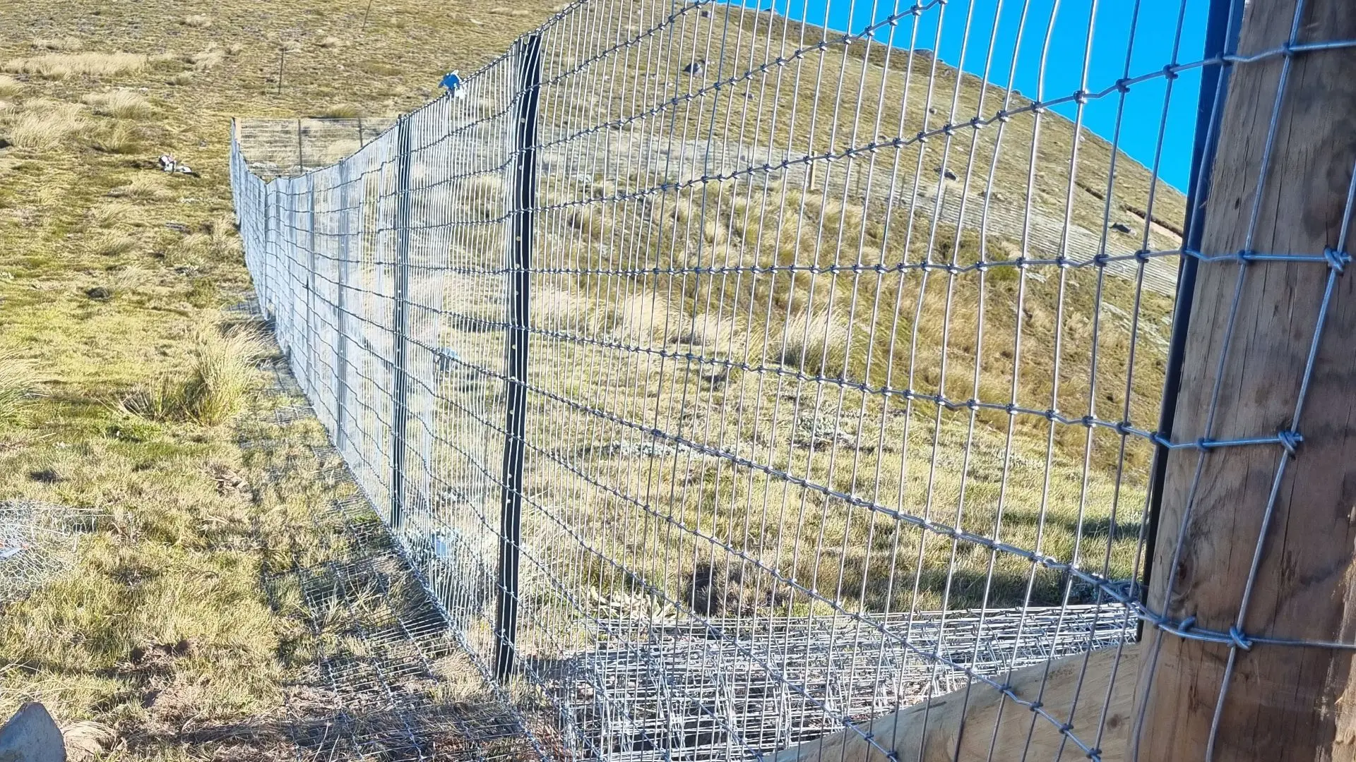 Predator Fencing